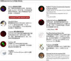 biotium產(chǎn)品中國(guó)區(qū)總代理 上海開(kāi)放生物科技