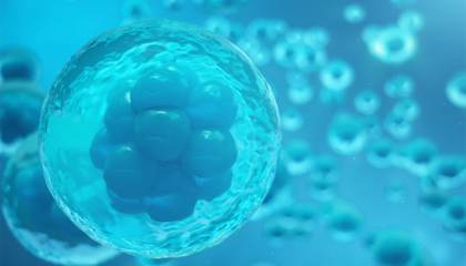 專(zhuān)注細(xì)胞生物科技,&ldquo;達(dá)爾文生物&rdquo;完成A+輪融資